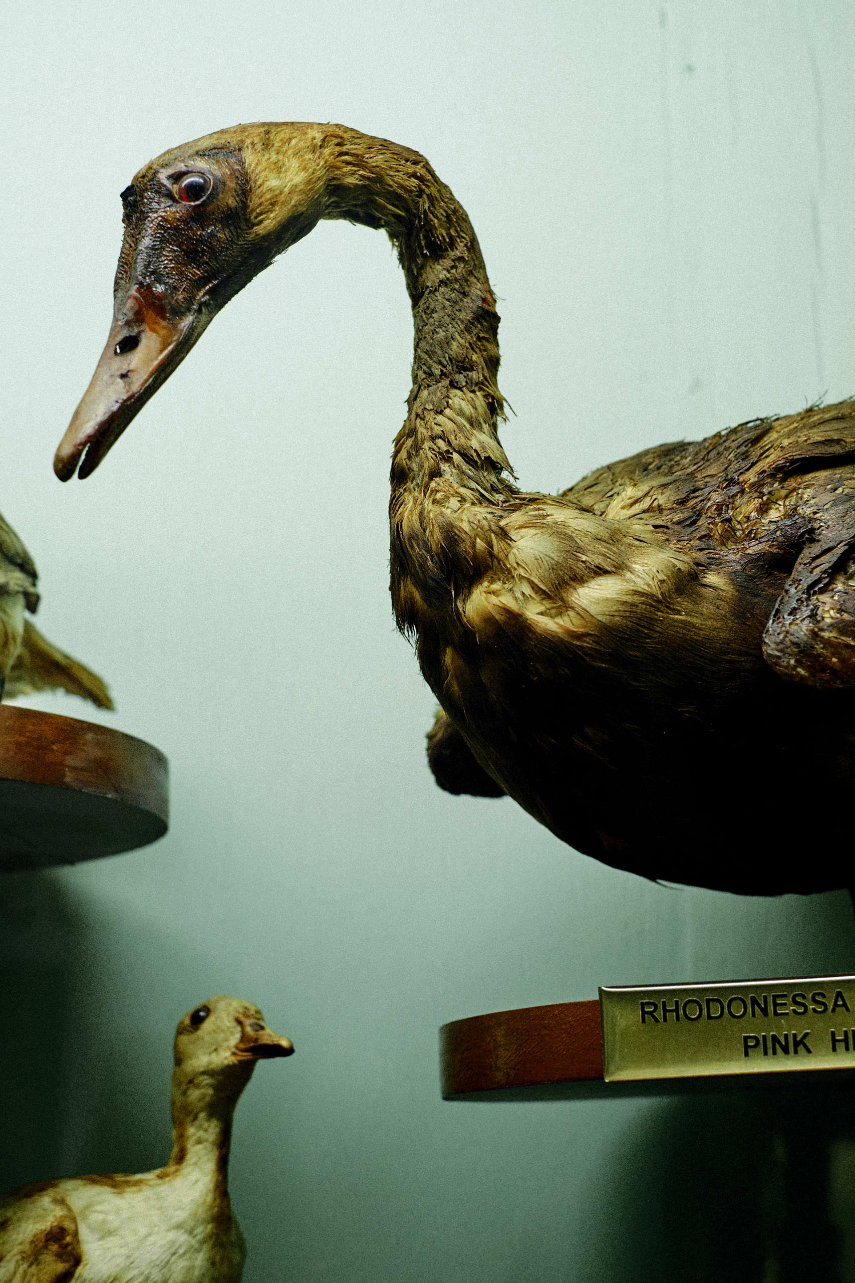 Government Art Museum Chennai